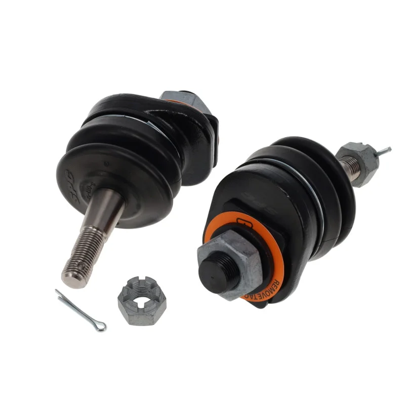 fassmotorsports103787329