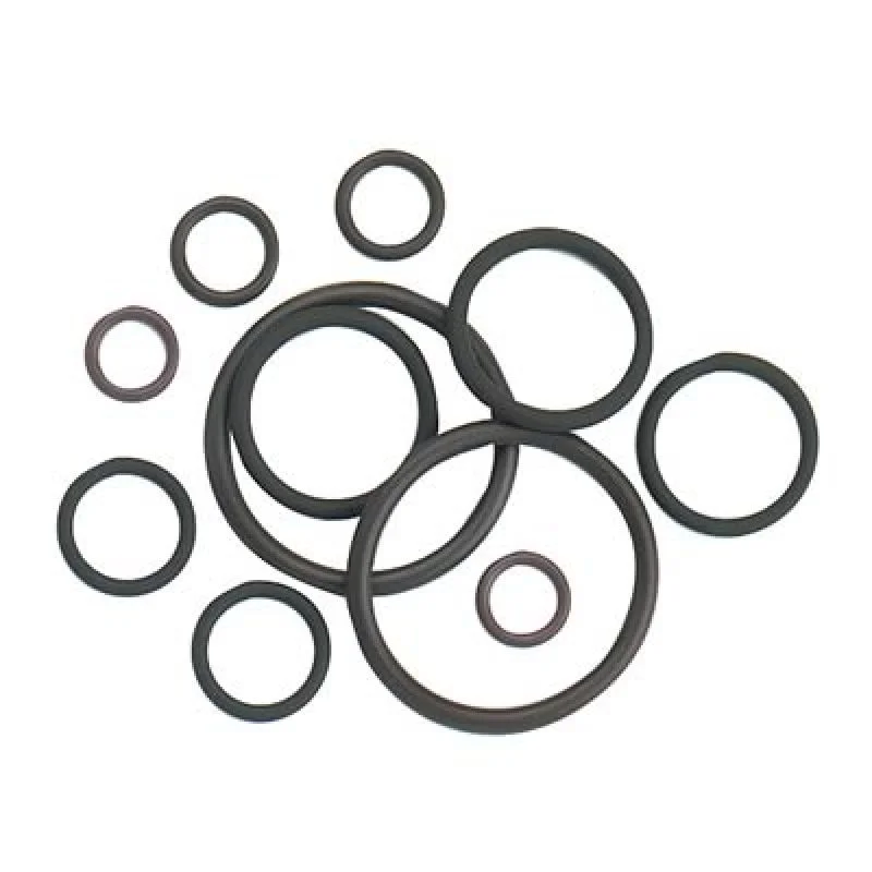 fassmotorsports123604826