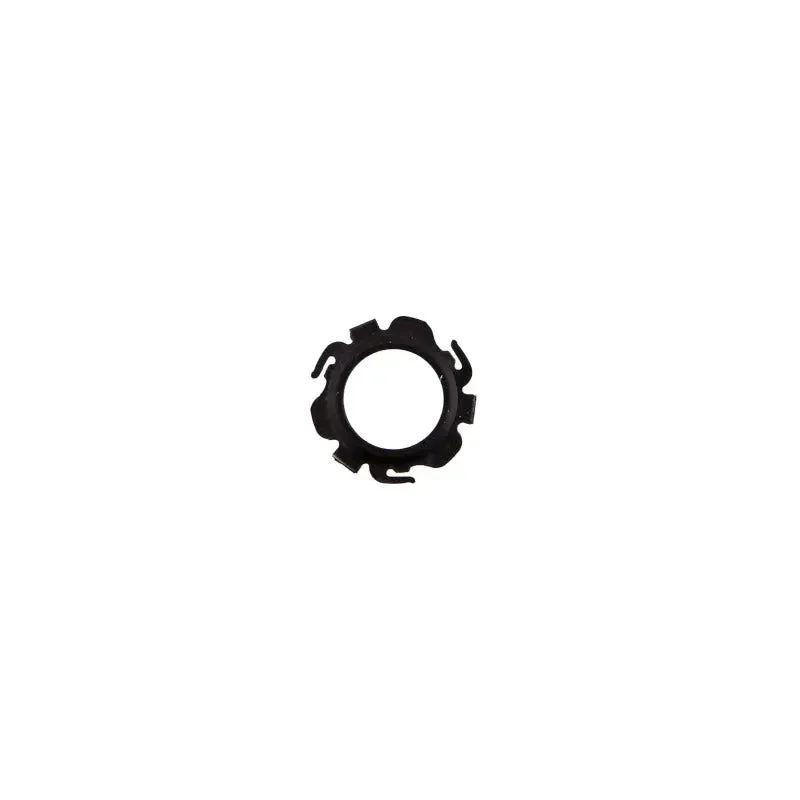 fasthemis33900577