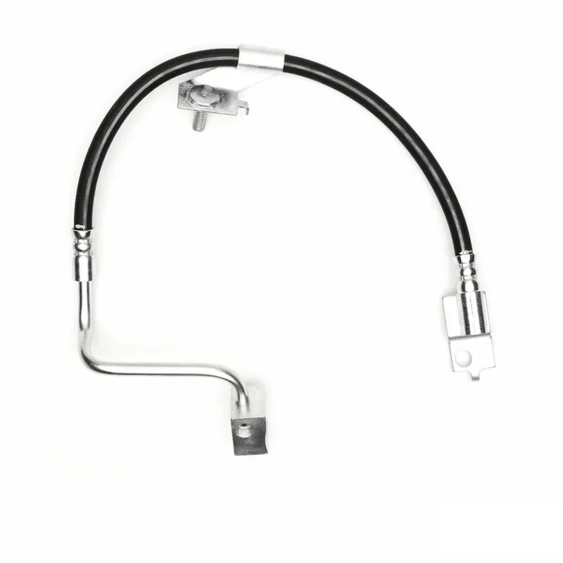 fasthemis33973910